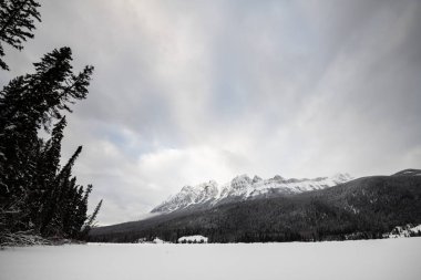 Yellowhead Dağı 'nın manzarası, Alberta, British Columbia, Kanada.