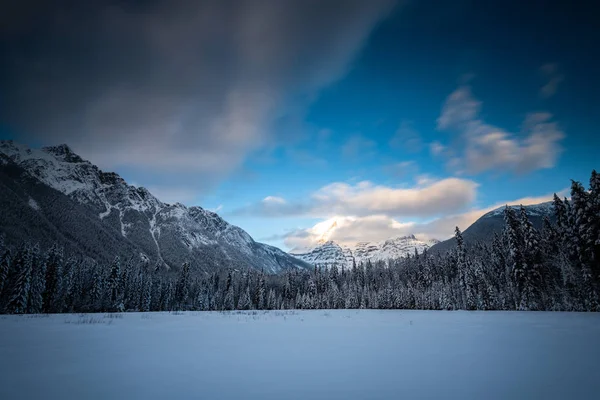 Пейзаж Провінційного Парку Взимку Британська Колумбія Канада — стокове фото