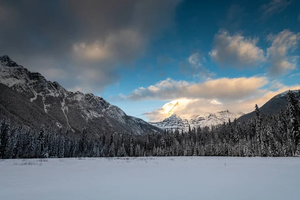 Пейзаж Провінційного Парку Взимку Британська Колумбія Канада — стокове фото
