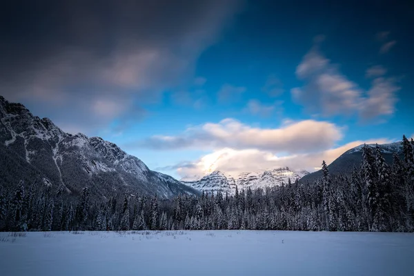 Landskap Provincial Park Vintern British Columbia Kanada — Stockfoto