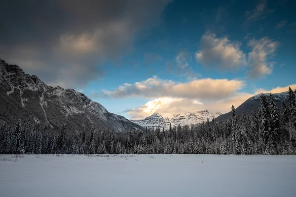 Landschap Van Provinciaal Park Winter British Columbia Canada — Stockfoto