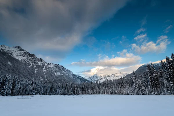 Landschaft Des Provinzparks Winter Britisch Columbia Kanada — Stockfoto