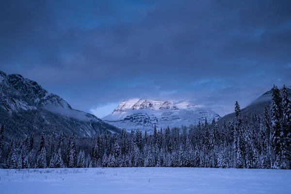 Landskap Provincial Park Vintern British Columbia Kanada — Stockfoto