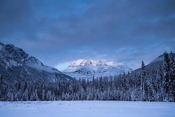 Tájkép Tartományi Park Télen Brit Columbia Kanada — Stock Fotó
