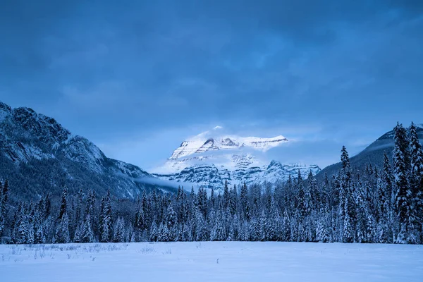 Krajobraz Parku Prowincji Zimą Kolumbia Brytyjska Kanada — Zdjęcie stockowe