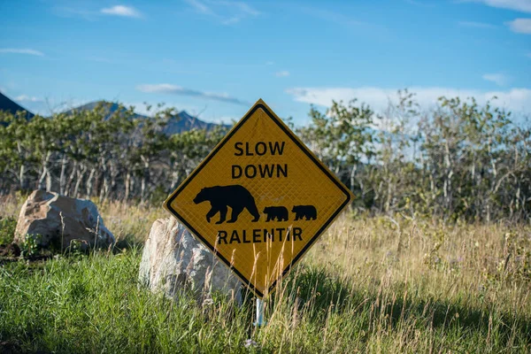 Bear Crossing Sign Next Road — Stock Photo, Image