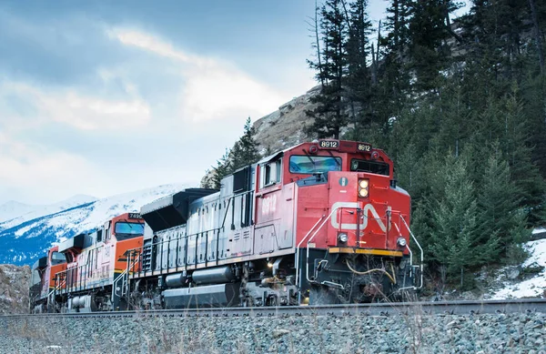 Tren Campo Naturaleza Viajes Fotos de stock libres de derechos