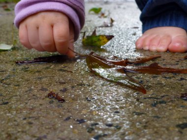 Bebek yağmurda yaprakları topluyor.