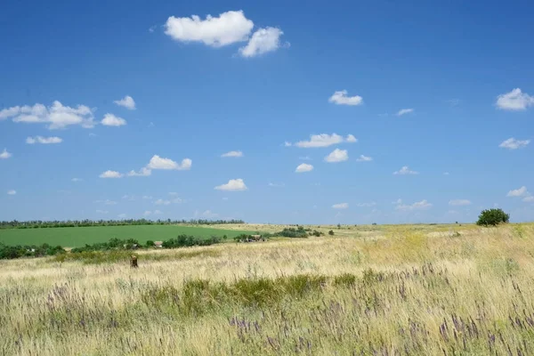 Krajobraz kraju. Puste pole przeciw błękitnemu niebu z chmurami — Zdjęcie stockowe