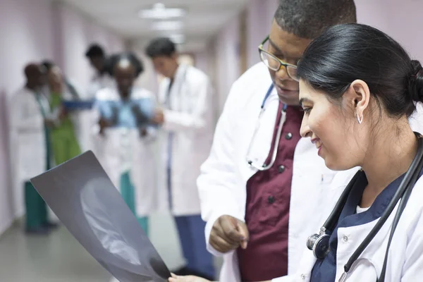 A group of young doctors, mixed race. In the corridor of the hospital discussing medicine, looking at the x-ray — 스톡 사진