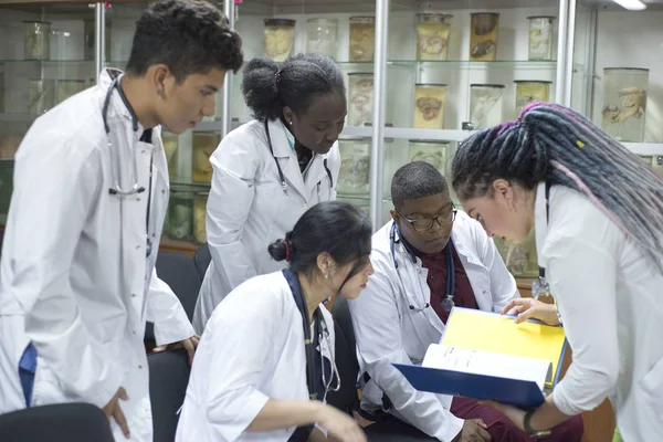 Un grupo de médicos jóvenes, de raza mixta. Reunidos en la conferencia, sosteniendo documentos médicos en sus manos, discutiendo el tema . — Foto de Stock