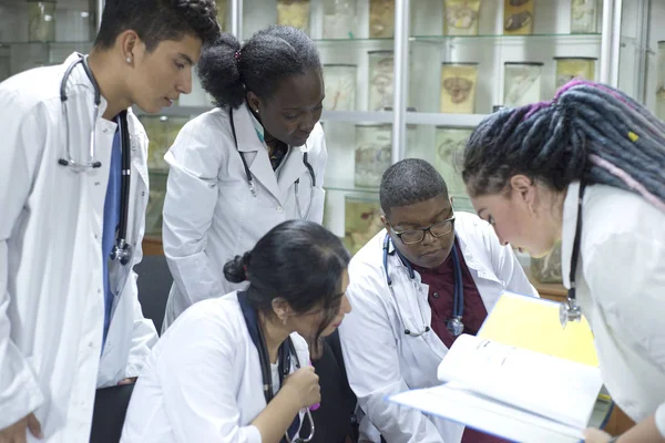 Un grupo de médicos jóvenes, de raza mixta. Reunidos en la conferencia, sosteniendo documentos médicos en sus manos, discutiendo el tema . — Foto de Stock