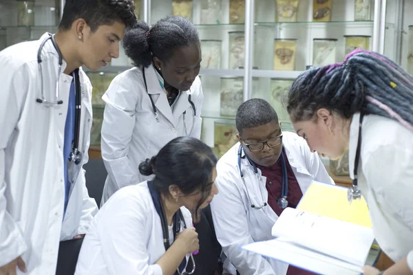 A group of young doctors, mixed race. Gathered at the conference, holding medical documents in their hands, discussing the topic. — 스톡 사진