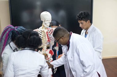 Tıp öğrencileri iskeletteki insan yapısını inceliyor. Farklı cinsiyetten, farklı ırklardan bir grup genç, tıp kıyafetleri içinde, sınıfta.