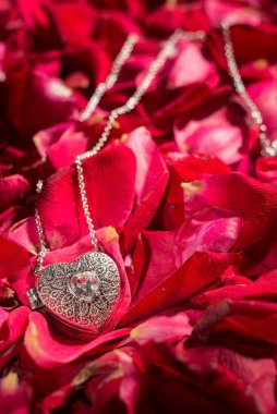 Kırmızı gül yaprakları üzerinde beyaz değerli metal madalyon.
