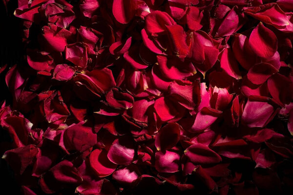 background of red rose petals. View from above. Wallpaper for the background of flowers. Calm dark