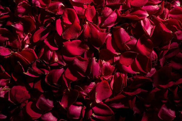 background of red rose petals. View from above. Wallpaper for the background of flowers. Calm dark