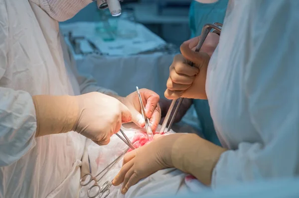 Squadra di chirurghi che fanno un'operazione. Sala operatoria sterile. Chirurgia renale — Foto Stock