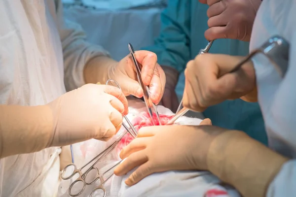 Uma equipa de cirurgiões a fazer uma operação. Sala de operações estéril. Cirurgia renal — Fotografia de Stock