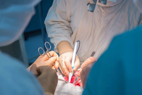 A surgeon with assistants, in a sterile operating room, is operated on internal organs. — Stok fotoğraf