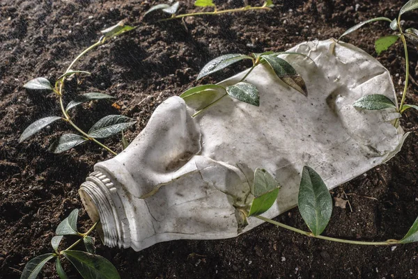 O problema da humanidade é a poluição ambiental com plástico. Uma flor zangada luta rompendo uma garrafa de plástico. Conceito de vida — Fotografia de Stock