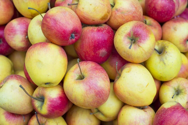 Textur von Äpfeln von oben. Rote und grüne Äpfel, schmutzig, auf der Ladentheke — Stockfoto