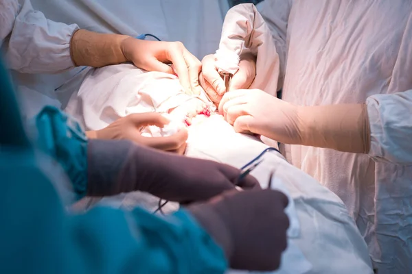 Squadra di chirurghi che fanno un'operazione. Sala operatoria sterile. Chirurgia renale — Foto Stock