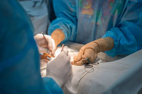 Cerrahi dikiş. Steril bir ameliyathanede cerrah ve asistanın elleri hastanın çocuğunun cildine kozmetik dikiş atıyor.. — Stok fotoğraf