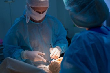 Çocuk cerrahları ürolojik ameliyatlar yapar. Maskeli bir adam ve bir kadın ve ameliyat odasında mavi steril bir ceket. Bir cerrah ekibi bir operasyon yürütüyor. Kasık fıtığı tedavisi, testis ödemi, testis hastalığı, varyasyon