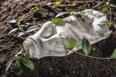 Thilafushi atık sahasında atık plastik şişeler ve diğer plastik atık türleri. İnsanoğlunun sorunu plastikle çevre kirliliğidir. Kızgın bir çiçek plastik bir şişeyi kırarak savaşıyor. Yaşam konsepti