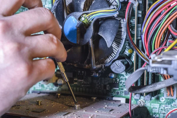 Close-up of professional equipment master repairing computer software. The hand of a master with a screwdriver repairs microcircuit technology. Cleaning computers from dust. Repair equipment. Customer Service Issue