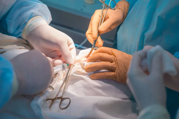 Close Hands Pediatric Surgeons Assistant Operating Small Patient Ear Lymphadenitis — Stok fotoğraf