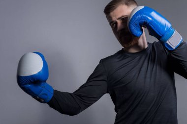 Boks eldivenli, sakallı, agresif bir sporcunun yakın çekimi, hazırlanıyor, bıçaklıyor. Gri bir arka planda. Boks, anne, dövüş sanatları, spor ve sağlık. Çoğunluk sporcuları, çığlık atın. Conor Margregor. Boksör, Macgregor 'a benziyor. Aktif yaşam tarzı. Trafik vardı..