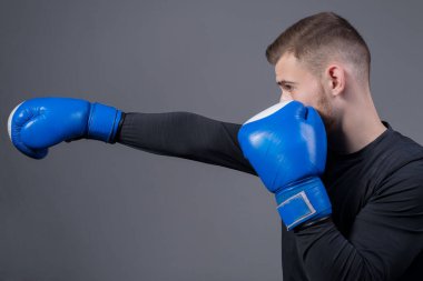 Boks eldivenli, sakallı, agresif bir sporcunun yakın çekimi, hazırlanıyor, bıçaklıyor. Gri bir arka planda. Boks, anne, dövüş sanatları, spor ve sağlık. Çoğunluk sporcuları, çığlık atın. Conor Margregor. Boksör, Macgregor 'a benziyor. Aktif yaşam tarzı. Trafik vardı..