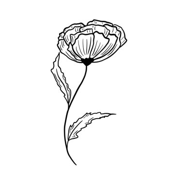 Soyut sanat. Çiçeklerin izole edilmiş siyah-beyaz çizgili çizimi. Tasarımın için bir element. Beyaz arka planda iki yaprağı olan uzun kıvrımlı bir saptaki bir çiçeğin tasviri. 