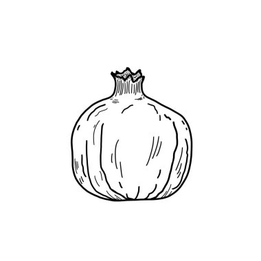 Nar meyvesi. Beyaz arka planda siyah-beyaz bir nar resmi var. Yakın plan. Tasarım elementi.