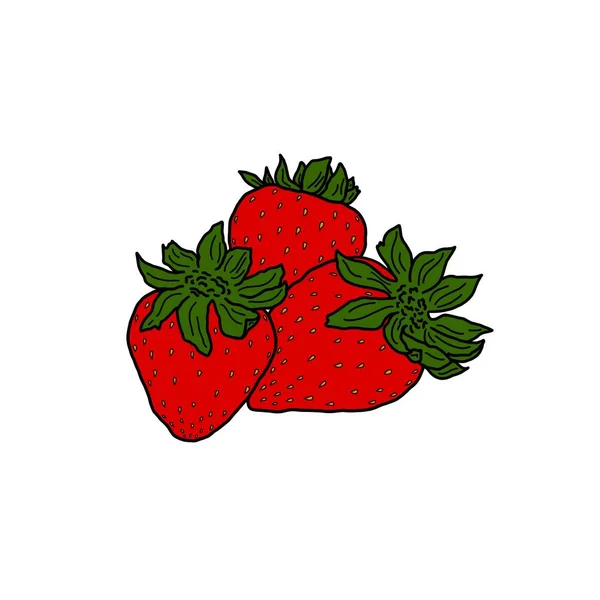 白い背景に緑色の茎を持つ3つの明るい赤いイチゴ イチゴのクローズアップイラスト — ストック写真