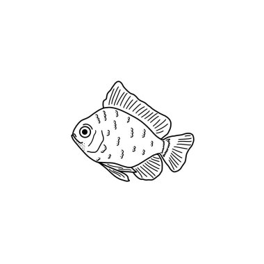 Tatlı, tek elli tropikal balıklar. Beyaz arka planda güzel bir balığın tek renkli çizimi. Tasarım ve renklendirme elementiniz.