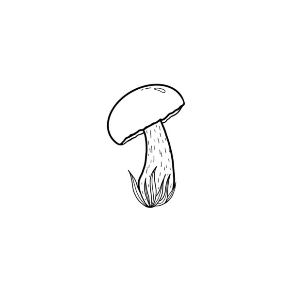 Black White Illustration Mushroom Grass Mushroom Curved Long Leg Isolated — Stok Foto