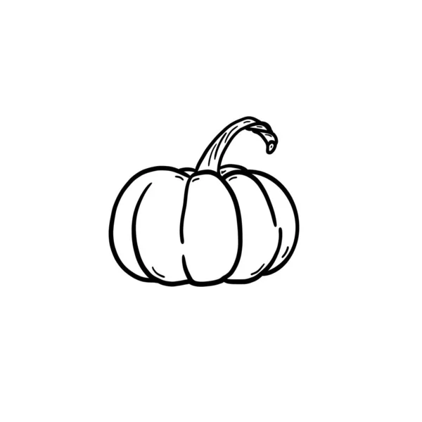 Ilustración Blanco Negro Una Calabaza Con Tallo Sobre Fondo Blanco — Foto de Stock