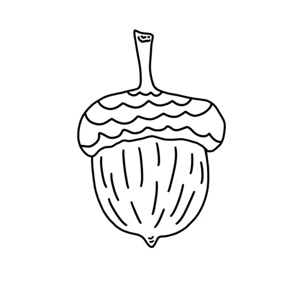 Acorn Gros Plan Style Doodle Illustration Noir Blanc Gland Sur — Photo