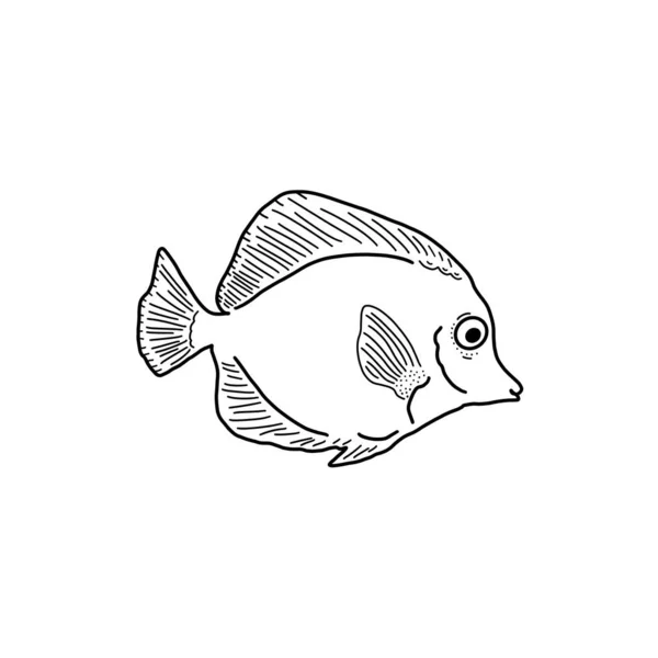 Beautiful Sea Fish Cartoon Style White Background Monochrome Illustration Small — Stock Photo, Image