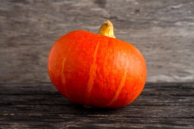 ahşap arka plan üzerinde renkli turuncu sonbahar Kabak