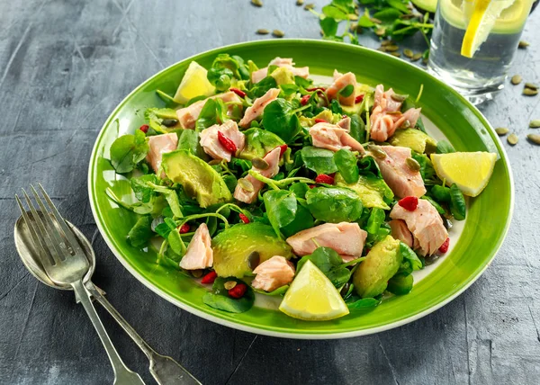 Здоровый лосось, салат авокадо с водянистой и ягодами годжи, смесь семян тыквы на зеленой тарелке — стоковое фото