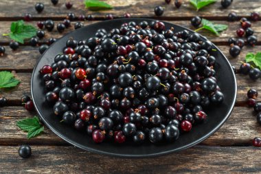 Ahşap rustik masa üzerinde bir tabak içinde taze sulu siyah kuş üzümü