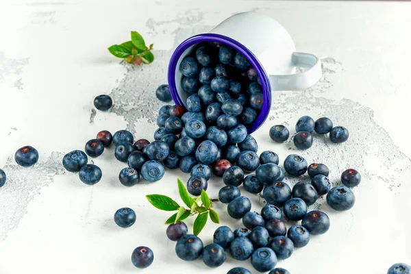 Freshly picked Blueberries in vintage mug with green leaves on top — Stock Photo, Image