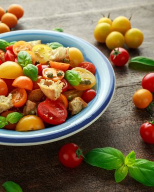 Ev yapımı Panzanella, kırmızı, sarı, turuncu kiraz domates, Kapari, fesleğen ve ciabatta domates geleneksel İtalyan salatası kruton. Yaz sağlıklı gıda.
