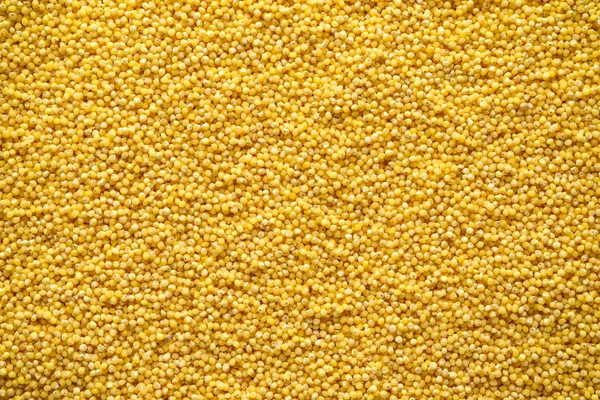 Millet cereal grains closeup background. Organic concept — Stock Photo, Image