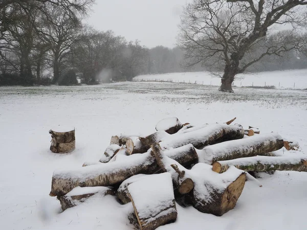 Een stapel houtblokken in een besneeuwd veld — Stockfoto