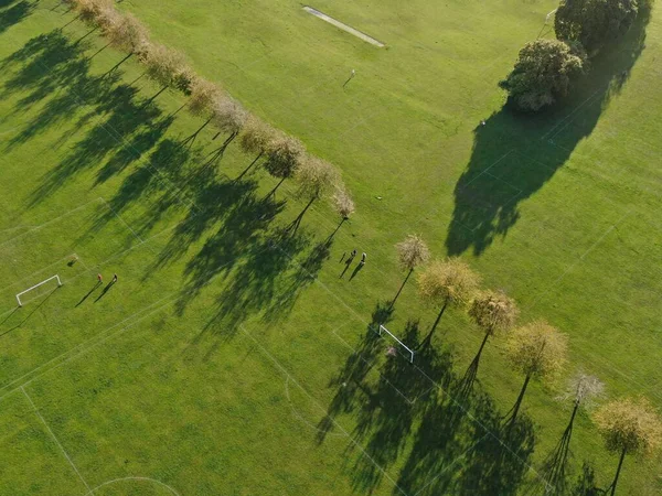 Vista aerea del parco con una linea di alberi che proiettano lunghe ombre la sera — Foto Stock